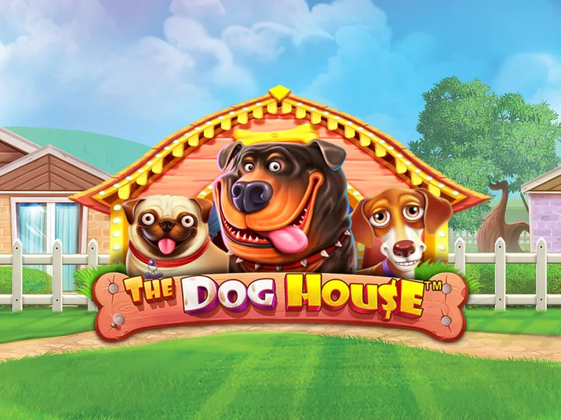 The Dog House